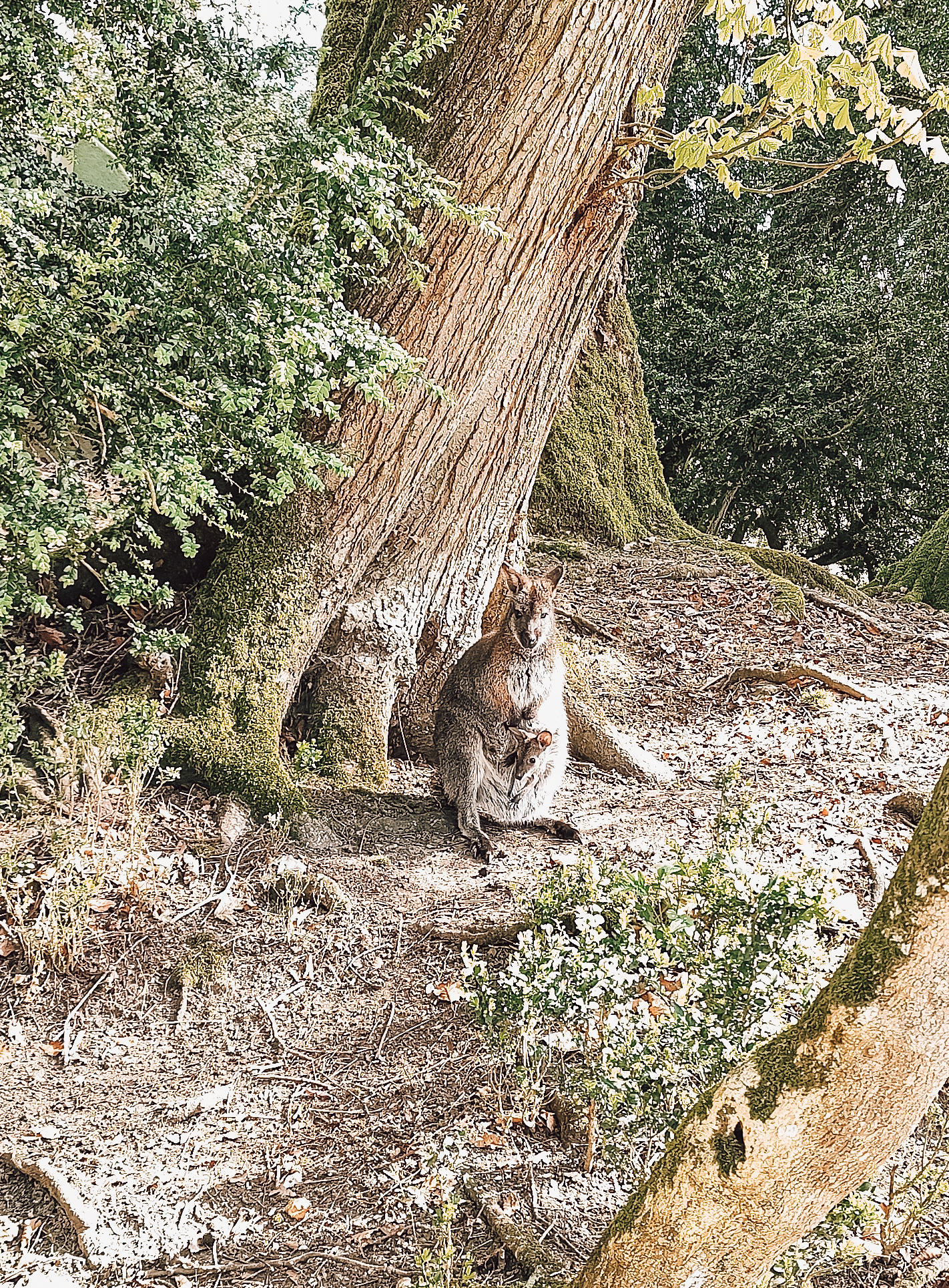 Photo n° 11 de l'avis de Chloé.b fait le 04/07/2021 à 12:42