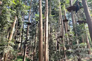 Cumberland State Forest Information Centre image