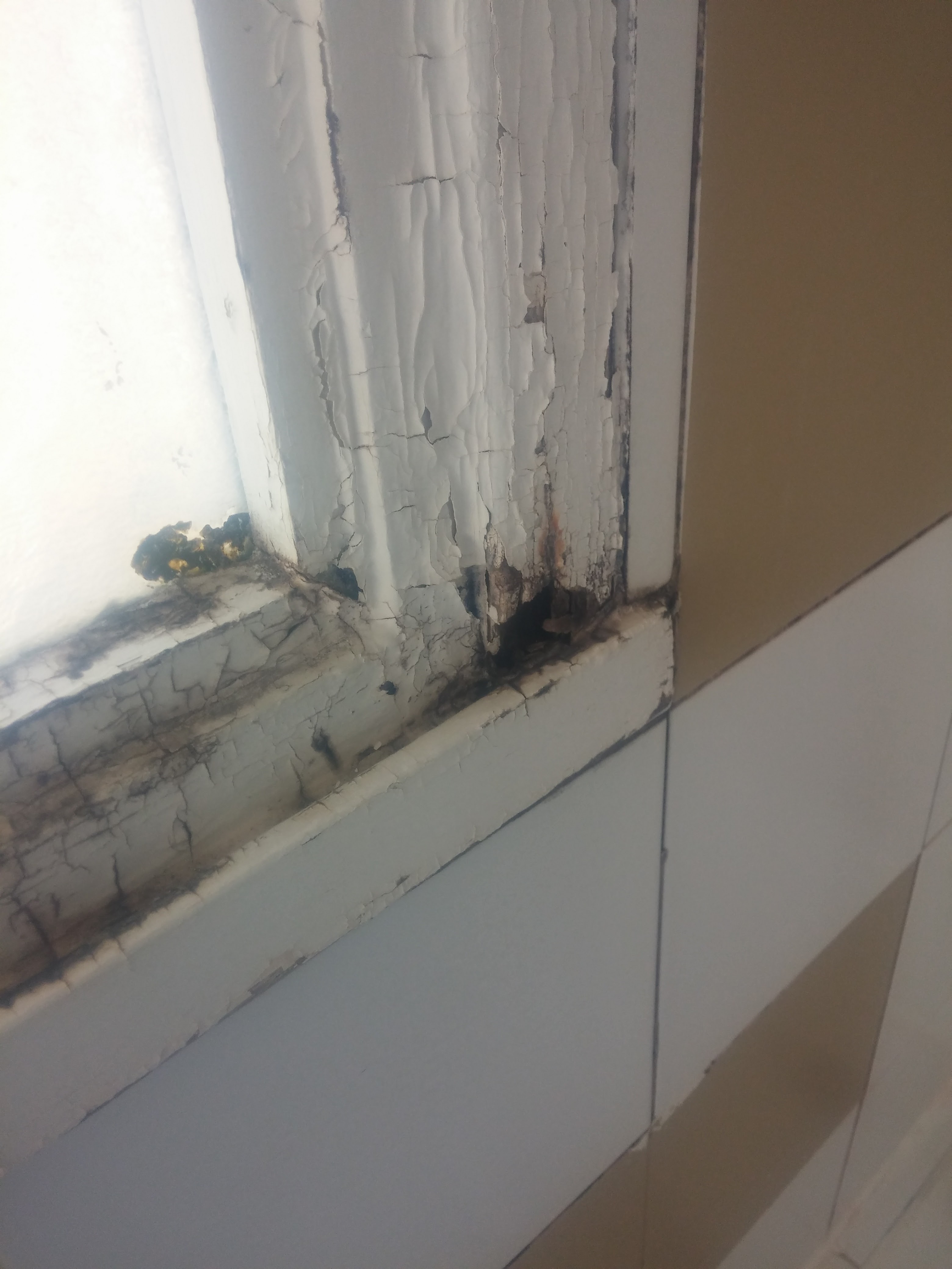 Photo n° 2 de l'avis de Pasutile.a fait le 09/04/2018 à 14:08