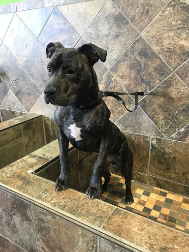 Pet Store «Pet Valu», reviews and photos, 773 Huntingdon Pike, Huntingdon Valley, PA 19006, USA