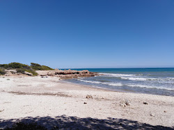Photo de Platja d'Irta situé dans une zone naturelle