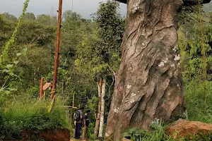 Kalladanthy Natural Cave Munnar image