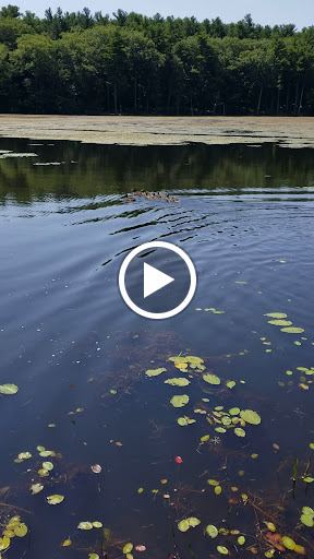 Outdoor Sports Store «Maple Hill Disc Golf», reviews and photos, 132 Marshall St, Leicester, MA 01524, USA