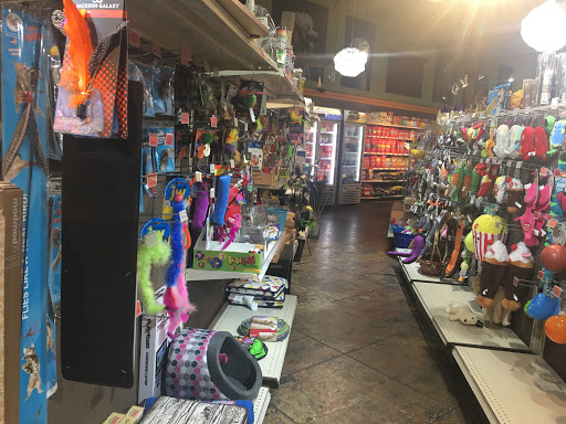Pet Supply Store «The Urban Pet», reviews and photos, 7515 Beverly Blvd, Los Angeles, CA 90036, USA