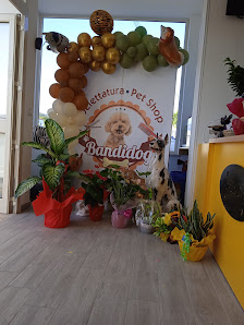 Toelettatura Policastro BANDIDOG Via Orto del Conte, 84070 Santa Marina SA, Italia