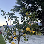 Photo n°1 de l'avis de Rachel.p fait le 28/03/2023 à 01:41 sur le  Grand Hotel Victoria à Menaggio