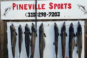 Pineville Sporting Supply image