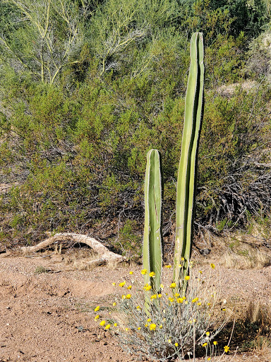 Nature Preserve «Desert Arroyo Park», reviews and photos, 9320 E McKellips Rd, Mesa, AZ 85207, USA
