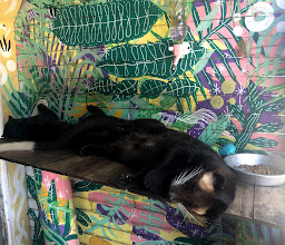 Cheche's Luwak Cafe photo