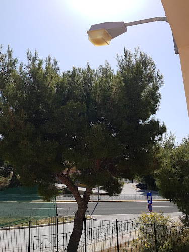 1ο Επαλ Ραφήνας - Ραφήνα