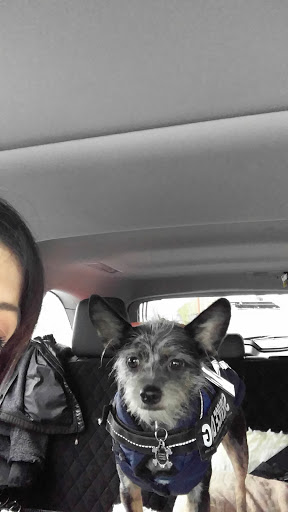 Beauty Salon «Salon Ish», reviews and photos, 107 W Stewart # B, Puyallup, WA 98371, USA