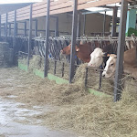 Photo n°17 de l'avis de Vitty.i fait le 12/06/2022 à 14:09 sur le  Agriturismo Fattoria Pasqué à Casale Litta