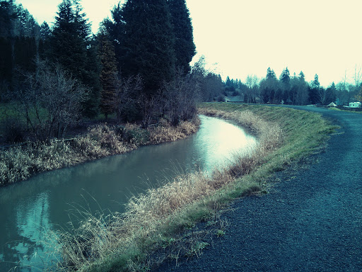 Golf Course «Mint Valley Golf Course», reviews and photos, 4002 Pennsylvania St, Longview, WA 98632, USA