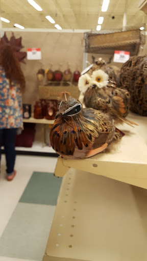 Fabric Store «Jo-Ann Fabrics and Crafts», reviews and photos, 2405 SW 27th Ave, Ocala, FL 34471, USA