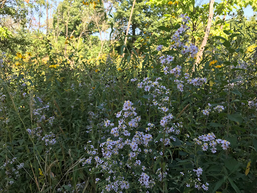 Rehabilitation Center «Willowbrook Wildlife Center», reviews and photos, 525 S Park Blvd, Glen Ellyn, IL 60137, USA