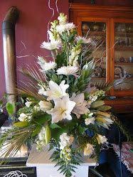 Bloomers - Timaru's largest florist- Same day delivery in Timaru - Temuka, Waimate, Geraldine, Oamaru, Ashburton, Fairlie, Methvenand Pleasant Point