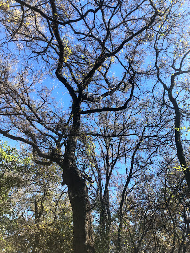 Nature Preserve «Elm Fork Nature Preserve Trail Entrance», reviews and photos, 2335 Sandy Lake Rd, Carrollton, TX 75006, USA