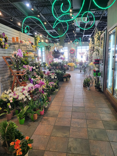 Florist «Fort Myers Florist», reviews and photos, 12000 S Cleveland Ave, Fort Myers, FL 33907, USA