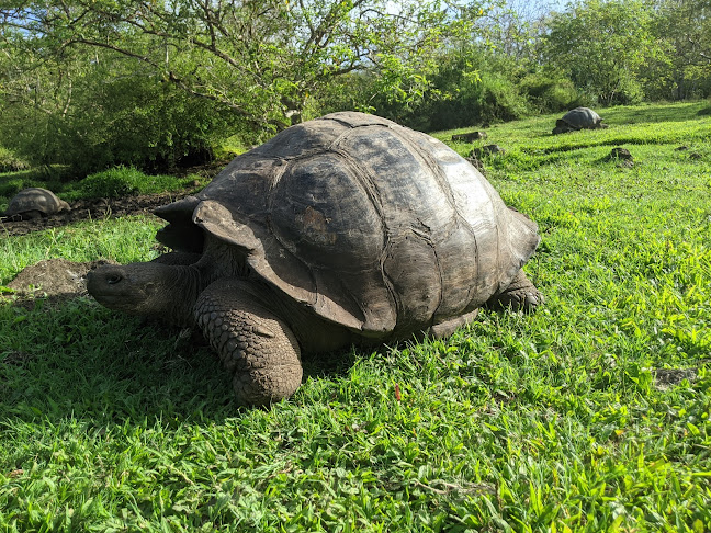 Rancho Primicias - Giant Tortoise Reserve