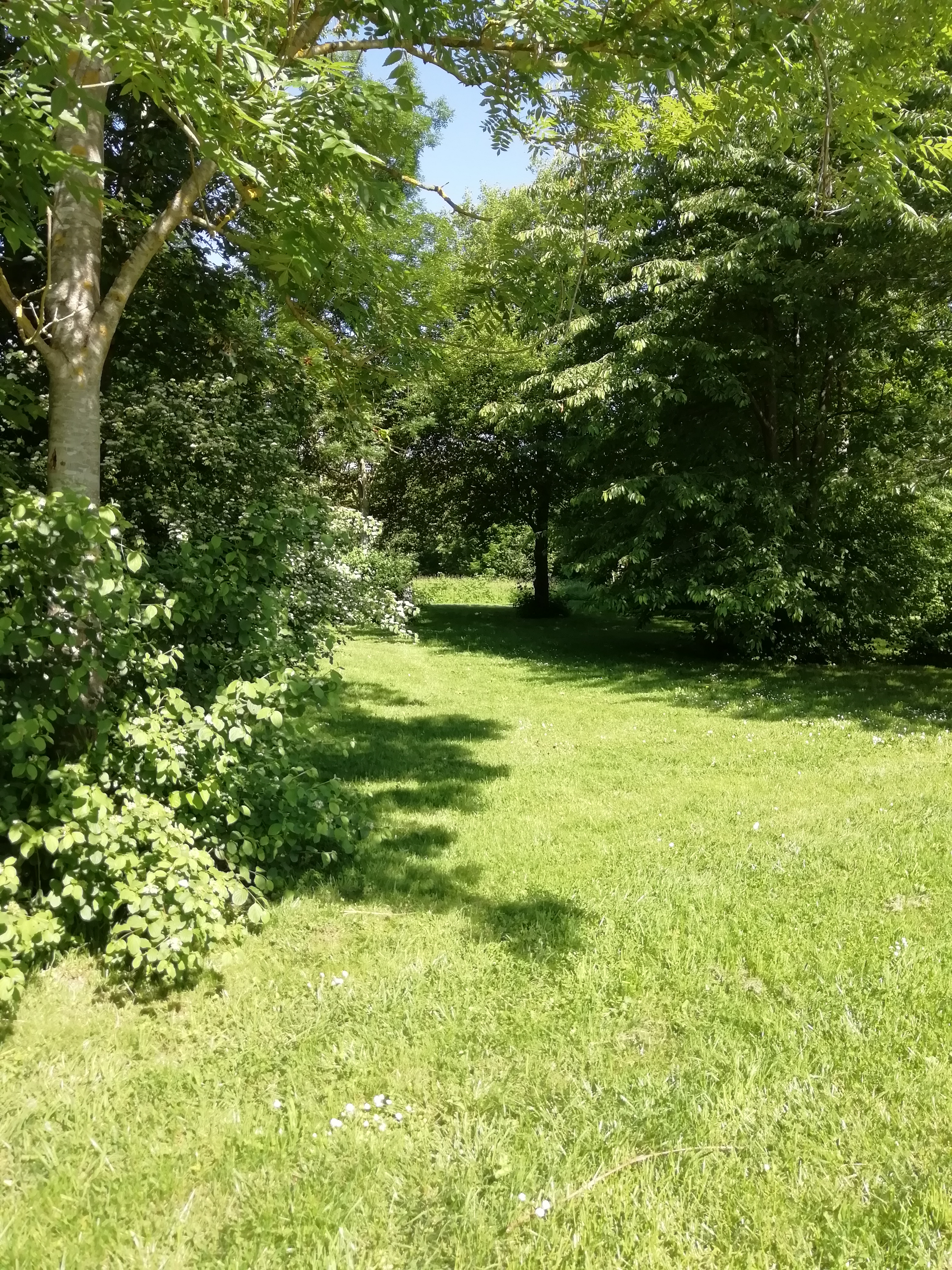 Photo n° 13 de l'avis de dada.r fait le 01/06/2019 à 11:10