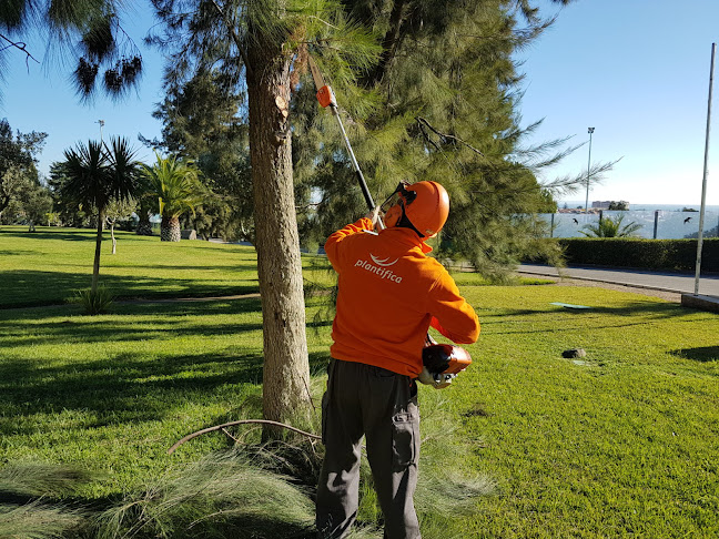 Avaliações doPlantifica - Implementação e Manutenção de Espaços Verdes, Lda em Agualva-Cacém - Jardinagem