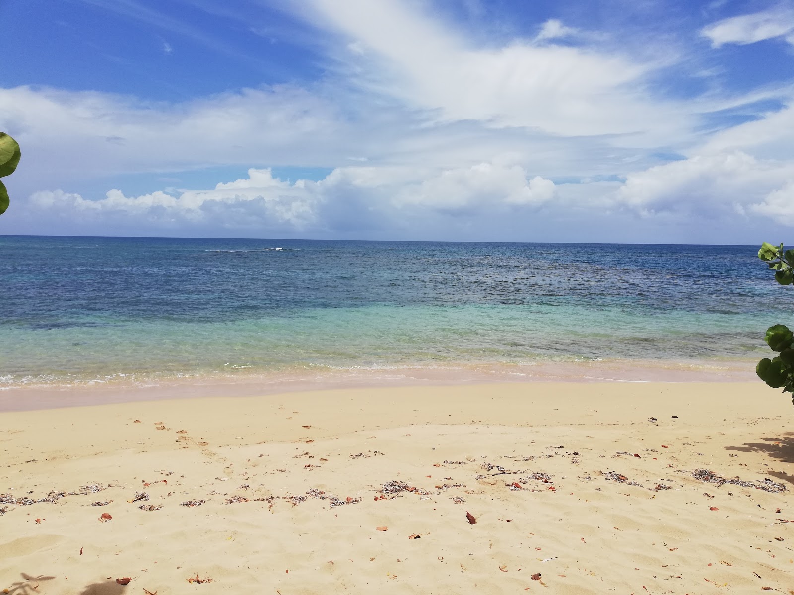 Foto de Playa Larga con playa amplia