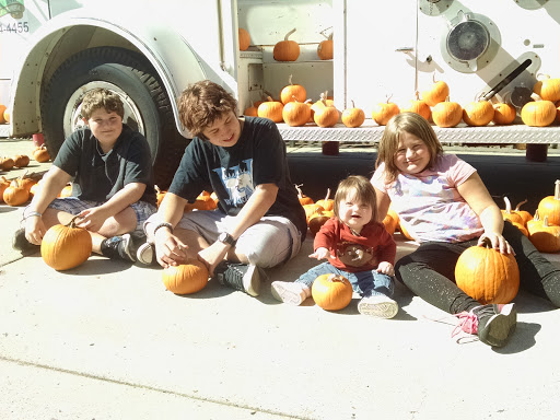 Records Storage Facility «Old Barn Self Storage», reviews and photos, 175 Spring Hill Dr, Grass Valley, CA 95945, USA