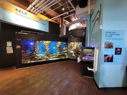 Aquarium «Cabrillo Marine Aquarium», reviews and photos, 3720 Stephen M White Dr, San Pedro, CA 90731, USA