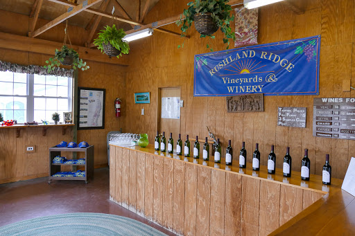 Vineyard «Rushland Ridge Vineyards & Winery», reviews and photos, 2665 Rushland Rd, Jamison, PA 18929, USA