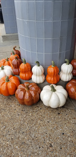 Shopping Mall «Rio Hill Shopping Center», reviews and photos, Seminole Trail, Charlottesville, VA 22901, USA