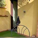 Photo n°7 de l'avis de Foodtraveller. fait le 08/06/2022 à 12:27 sur le  Hotel La Scaletta Florence à Florence