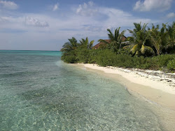 Raalhuveli Beach'in fotoğrafı - rahatlamayı sevenler arasında popüler bir yer