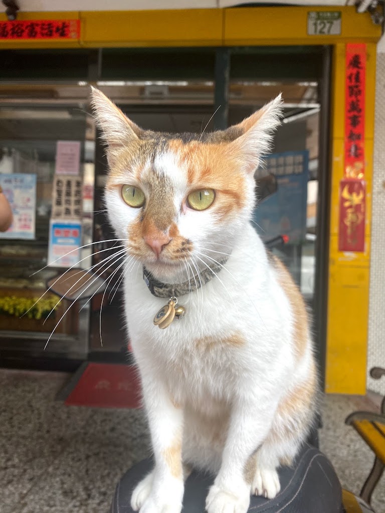 元筑西點麵包屋 的照片