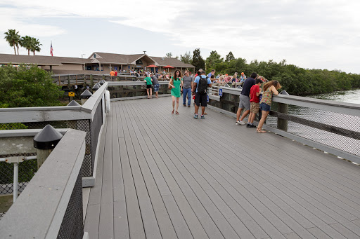 Nature Preserve «Manatee Viewing Center», reviews and photos, 6990 Dickman Rd, Apollo Beach, FL 33572, USA