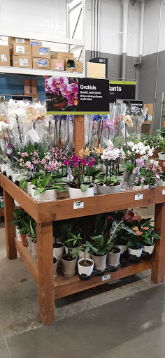 Home Improvement Store «The Home Depot», reviews and photos, 39 Long Pond Rd, Plymouth, MA 02360, USA