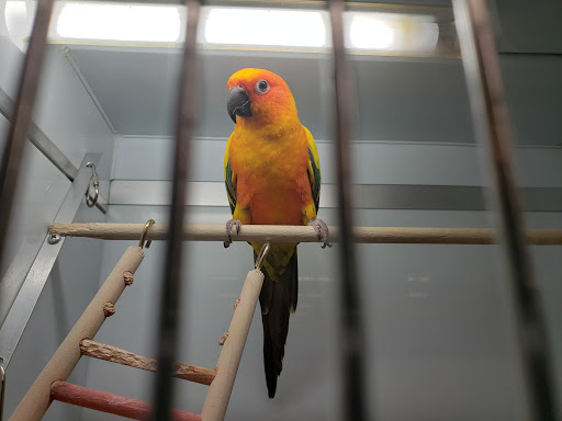 Pet Supply Store «Pet Supplies Plus», reviews and photos, 1764 Tilden Ridge Dr, Hamburg, PA 19526, USA