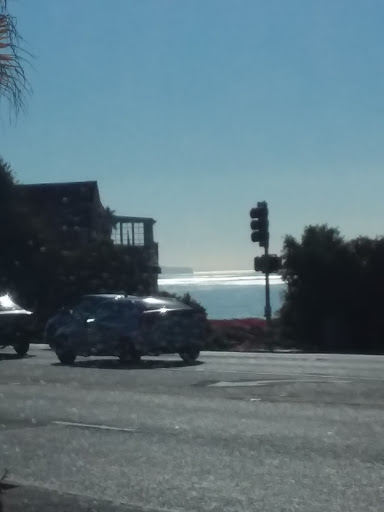 Pet Supply Store «Coast Pet Supplies», reviews and photos, 880 N Coast Hwy, Laguna Beach, CA 92651, USA