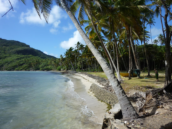 Firefly beach