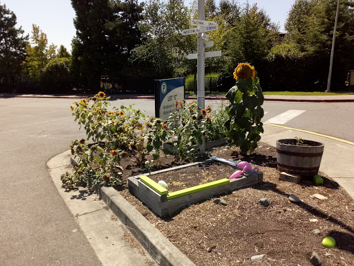 Veterans Hospital «VA Puget Sound Health Care System», reviews and photos