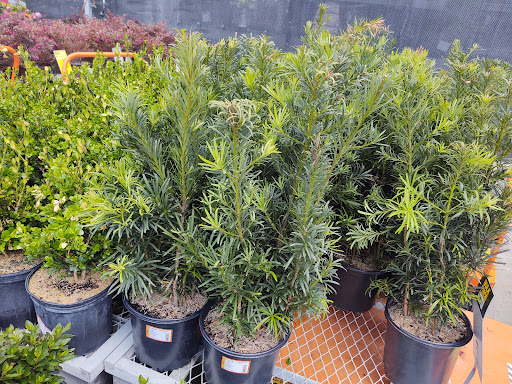 Shopping Mall «Westgate Shopping Center», reviews and photos, 1900 Veterans Blvd, Dublin, GA 31021, USA