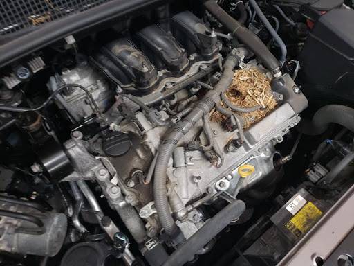 Toyota Dealer «Walser Toyota», reviews and photos, 4401 American Blvd W, Bloomington, MN 55437, USA