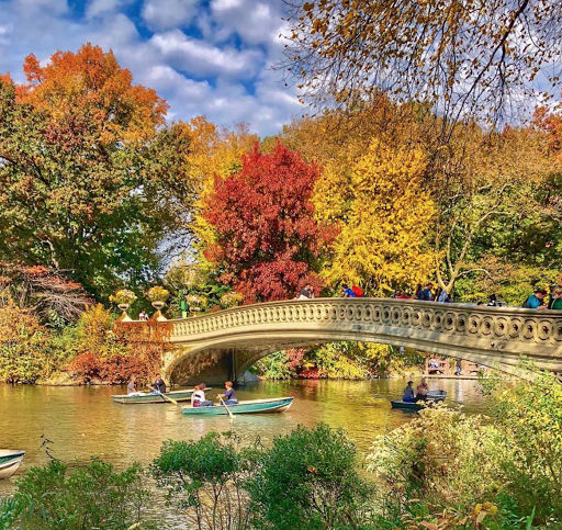 Park «Marcus Garvey Park», reviews and photos, 18 Mt Morris Park W, New York, NY 10027, USA