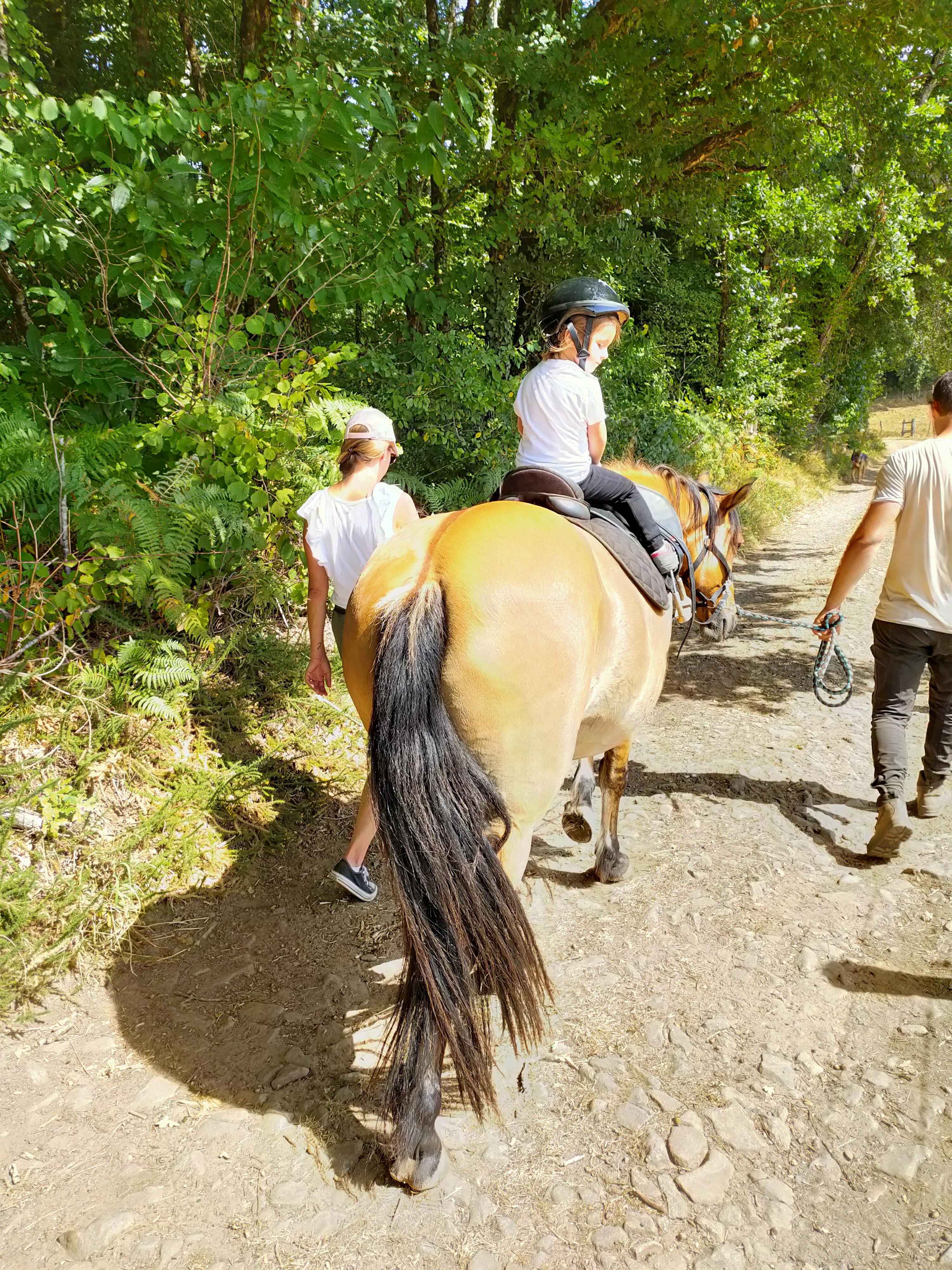 Photo n° 3 de l'avis de Yannick.h fait le 11/08/2020 à 15:40