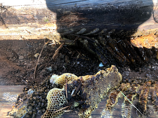 Wildlife Rescue Service «Southwest Wildlife Conservation Center», reviews and photos, 27026 N 156th St, Scottsdale, AZ 85262, USA