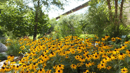 Natural History Museum «The Witt Stephens Jr. Central Arkansas Nature Center», reviews and photos, 602 President Clinton Ave, Little Rock, AR 72201, USA