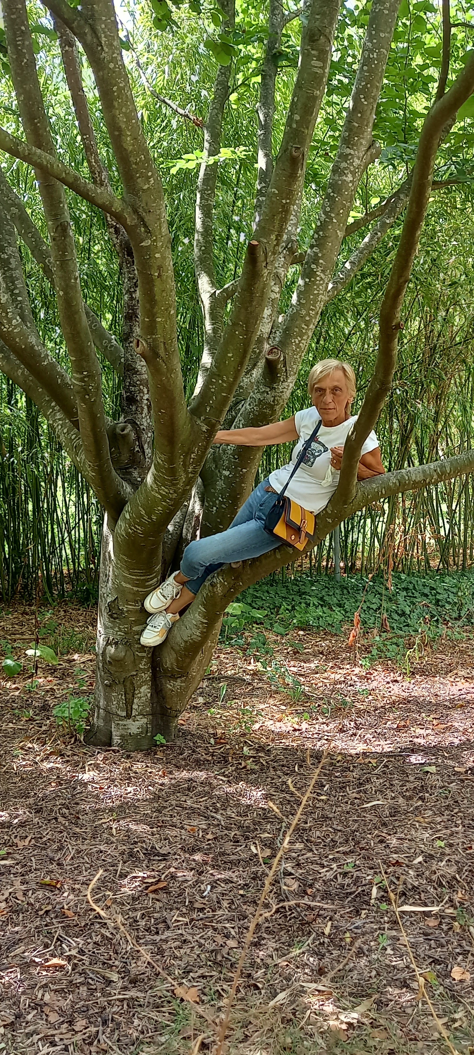 Photo n° 5 de l'avis de vardakas.a fait le 24/08/2022 à 11:23