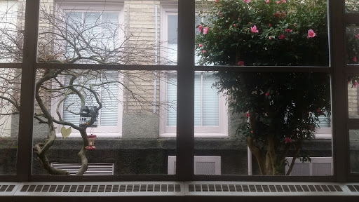 Community Center «MLK Fame Community Center», reviews and photos, 3201 E Republican St, Seattle, WA 98112, USA