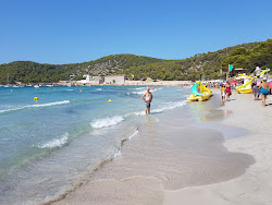 Platja de ses Salines'in fotoğrafı - rahatlamayı sevenler arasında popüler bir yer
