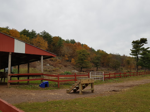 Zoo «Bailiwick Animal Park and Riding Stables», reviews and photos, 118 Castle Rd, Catskill, NY 12414, USA