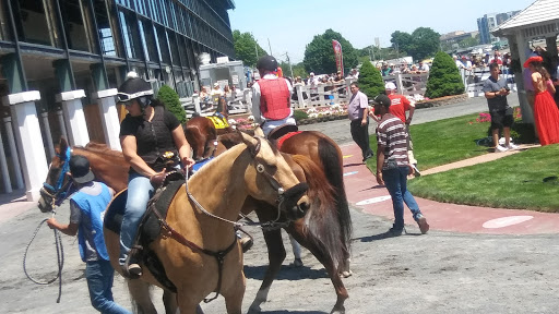 Racecourse «Suffolk Downs», reviews and photos, 525 William F McClellan Hwy, Boston, MA 02128, USA